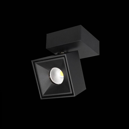 Спот Citilux CL558021N Спот Citilux CL558021N