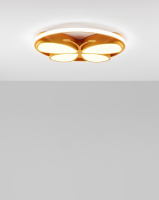Светильник потолочный светодиодный Moderli V1101-CL Solo LED*61W