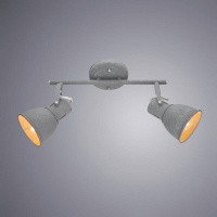 Потолочный светильник Arte Lamp A1677PL-2GY Jovi