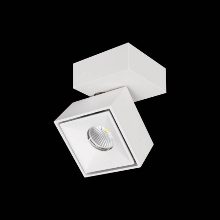 Спот Citilux CL558020N Спот Citilux CL558020N