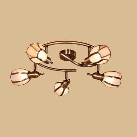 Спот Citilux CL522651 Спот Citilux CL522651