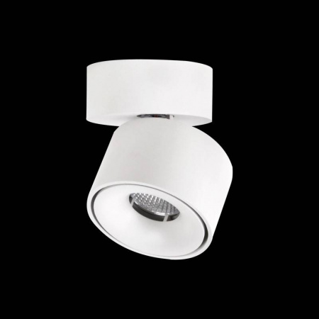Спот Citilux CL558010N Спот Citilux CL558010N